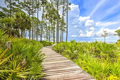 111 Winding Trail Way, Saint Teresa, FL 32358 - Photo 16