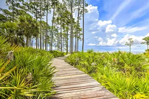 111 Winding Trail Way, Saint Teresa, FL 32358 - Photo 16