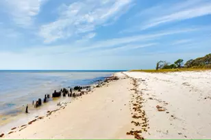 111 Winding Trail Way, Saint Teresa, FL 32358 - Photo 26