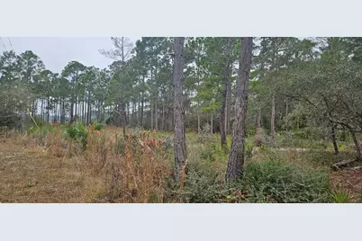 134 Timber Ln, Carrabelle, FL 32322 - Photo 4