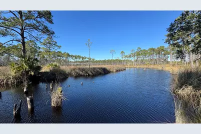 1693 St George's Ct, Eastpoint, FL 32328 - Photo 20