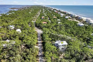 2147 Blue Heron Trail, Saint George Island, FL 32328 - Photo 56