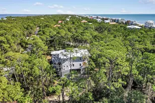 2147 Blue Heron Trail, Saint George Island, FL 32328 - Photo 56