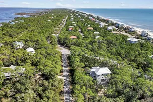 2147 Blue Heron Trail, Saint George Island, FL 32328 - Photo 58