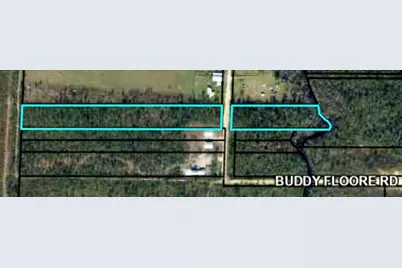 Lot 42 Buddy Floore Rd, Wewahitchka, FL 32465 - Photo 1