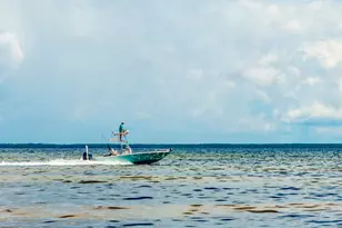 714 Oleander Ave, Mexico Beach, FL 32456 - Photo 50