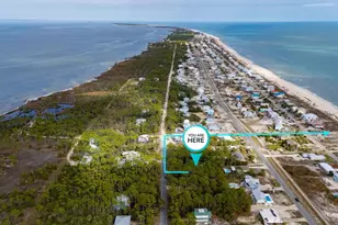 548 E Pine Ave, Saint George Island, FL 32328 - Photo 2