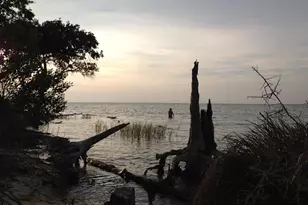 1431 Dove Ln, Saint George Island, FL 32328 - Photo 1