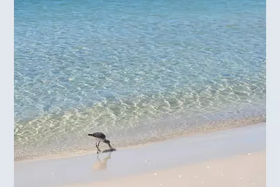 104 31st St, Mexico Beach, FL 32456 - Photo 10