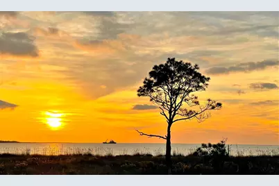 466 Pineda St, Port Saint Joe, FL 32456 - Photo 8