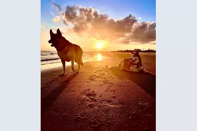 Lot 3 Curve Rd, Port Saint Joe, FL 32456 - Photo 10