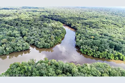 Lot 21 Chellsey St, Wewahitchka, FL 32465 - Photo 12