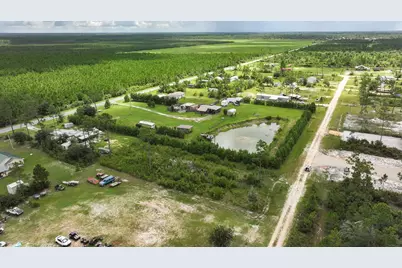 Lot 21 Chellsey St, Wewahitchka, FL 32465 - Photo 8