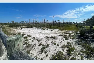 206 Bent Tree Rd, Cape San Blas, FL 32456 - Photo 8