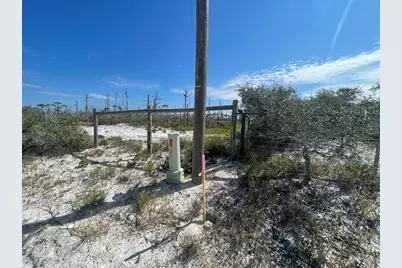 206 Bent Tree Rd, Cape San Blas, FL 32456 - Photo 8