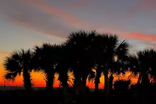 3606 Hwy 98, Mexico Beach, FL 32456 - Photo 34