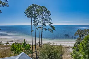 3402 Firefly Cir, Saint Teresa, FL 32358 - Photo 12