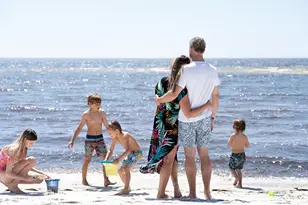 3402 Firefly Cir, Saint Teresa, FL 32358 - Photo 52