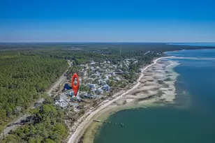 3402 Firefly Cir, Saint Teresa, FL 32358 - Photo 58