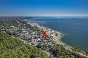 3402 Firefly Cir, Saint Teresa, FL 32358 - Photo 60