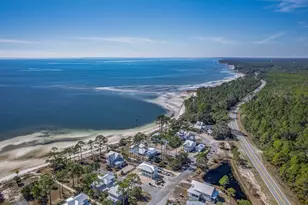 3402 Firefly Cir, Saint Teresa, FL 32358 - Photo 56