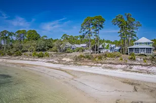 3402 Firefly Cir, Saint Teresa, FL 32358 - Photo 10