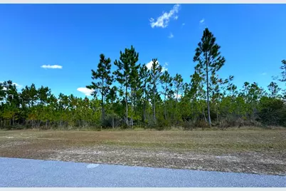 Lot 17 Wide Water Cir, Wewahitchka, FL 32465 - Photo 1