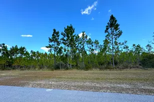 Lot 17 Wide Water Circle, Wewahitchka, FL 32465 - Photo 1