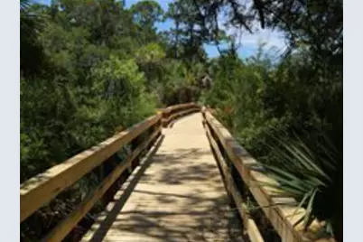 1548 Leisure Ln, Saint George Island, FL 32328 - Photo 22