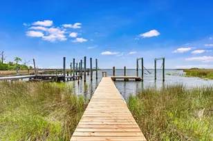 1735 Lark Ln, Saint George Island, FL 32328 - Photo 50