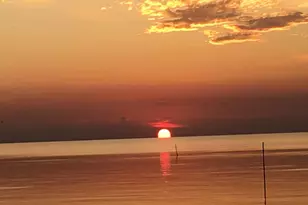 1735 Lark Ln, Saint George Island, FL 32328 - Photo 10