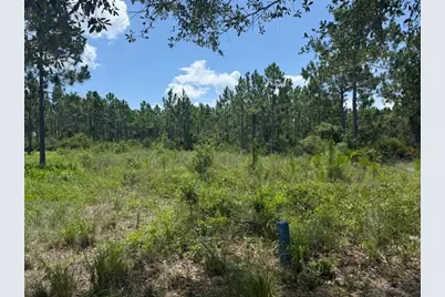 37 &amp; 38 Shallow Reed Dr, Port Saint Joe, FL 32456 - Photo 4