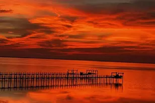 2123 Blue Heron Trail, Saint George Island, FL 32328 - Photo 4