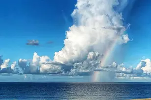 104 S 35th St, Mexico Beach, FL 32456 - Photo 74