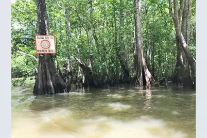 7149 Rammacher Rd, Wewahitchka, FL 32465 - Photo 20