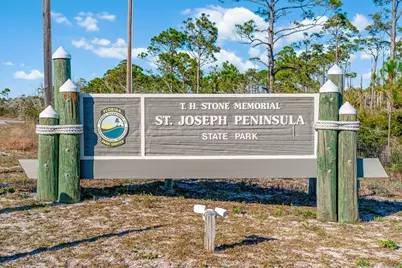 Lot 5 Planters Way, Cape San Blas, FL 32456 - Photo 16