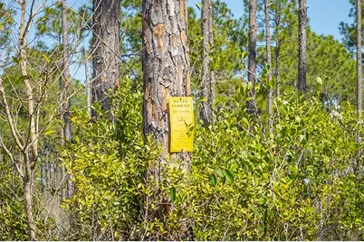 753 Buck Rd, Eastpoint, FL 32328 - Photo 26