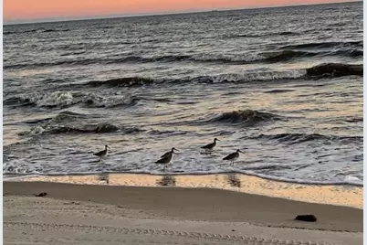 2276 Indian Pass Rd, Port Saint Joe, FL 32456 - Photo 16