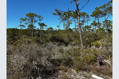 1364 Acacia Dr, Saint George Island, FL 32328 - Photo 4