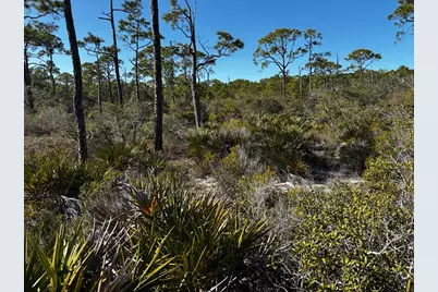 1364 Acacia Dr, Saint George Island, FL 32328 - Photo 2