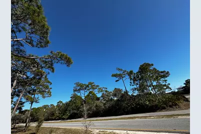 2000 Pelican Way, Saint George Island, FL 32328 - Photo 6