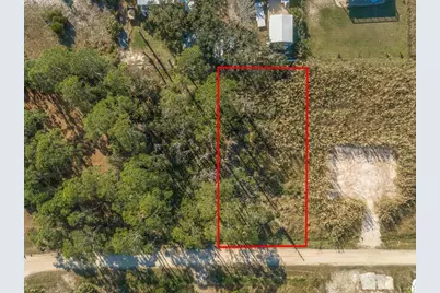 308 Quinn St, Saint George Island, FL 32328 - Photo 6