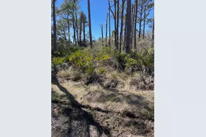 308 Quinn St, Saint George Island, FL 32328 - Photo 2