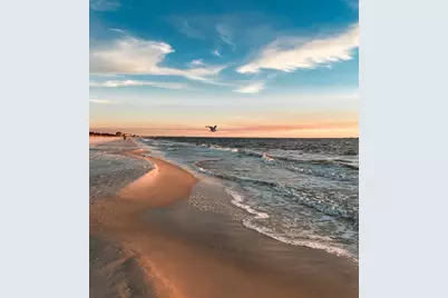 235 Kim Kove, Mexico Beach, FL 32456 - Photo 66