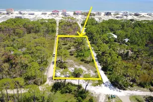 1377 E Gulf Beach Dr, Saint George Island, FL 32328 - Photo 1