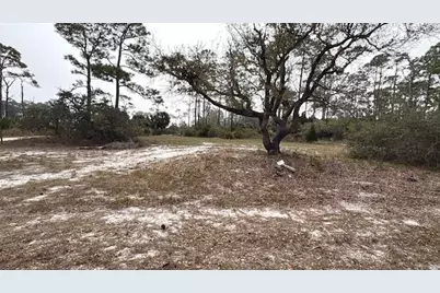 1377 E Gulf Beach Dr, Saint George Island, FL 32328 - Photo 2