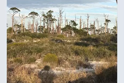 Lot 22 Hibiscus Dr, Cape San Blas, FL 32456 - Photo 4