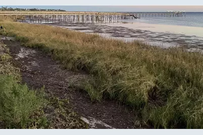 Lot 22 Hibiscus Dr, Cape San Blas, FL 32456 - Photo 18