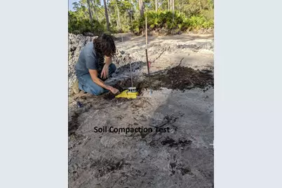 296 Gramercy Plantation Blvd, Eastpoint, FL 32328 - Photo 30