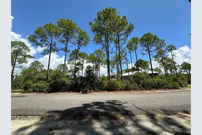 147 Lightning Bug Ln, Saint Teresa, FL 32358 - Photo 2